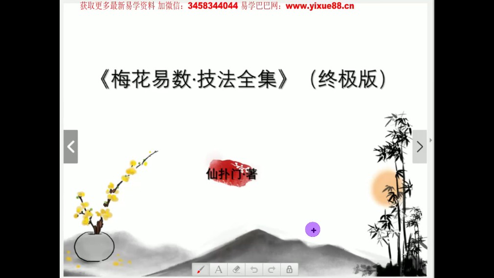 仙扑门-梅花易术（终极版） 梅花易数直播视频11集视频