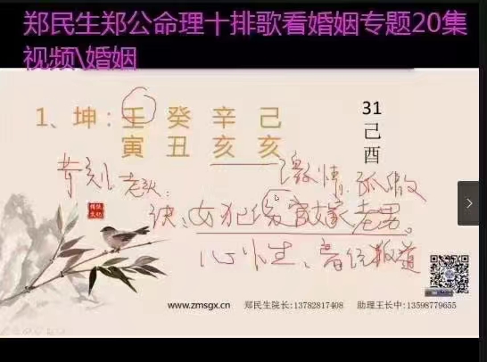 郑民生郑公命理 看婚姻专题、婚排歌20集视频