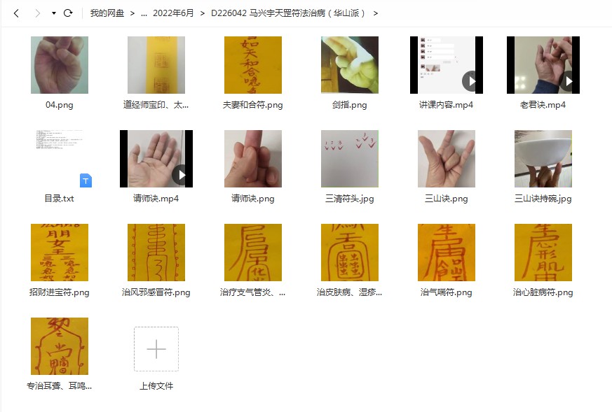 马兴宇天罡符法治病（华山派）百度云下载！