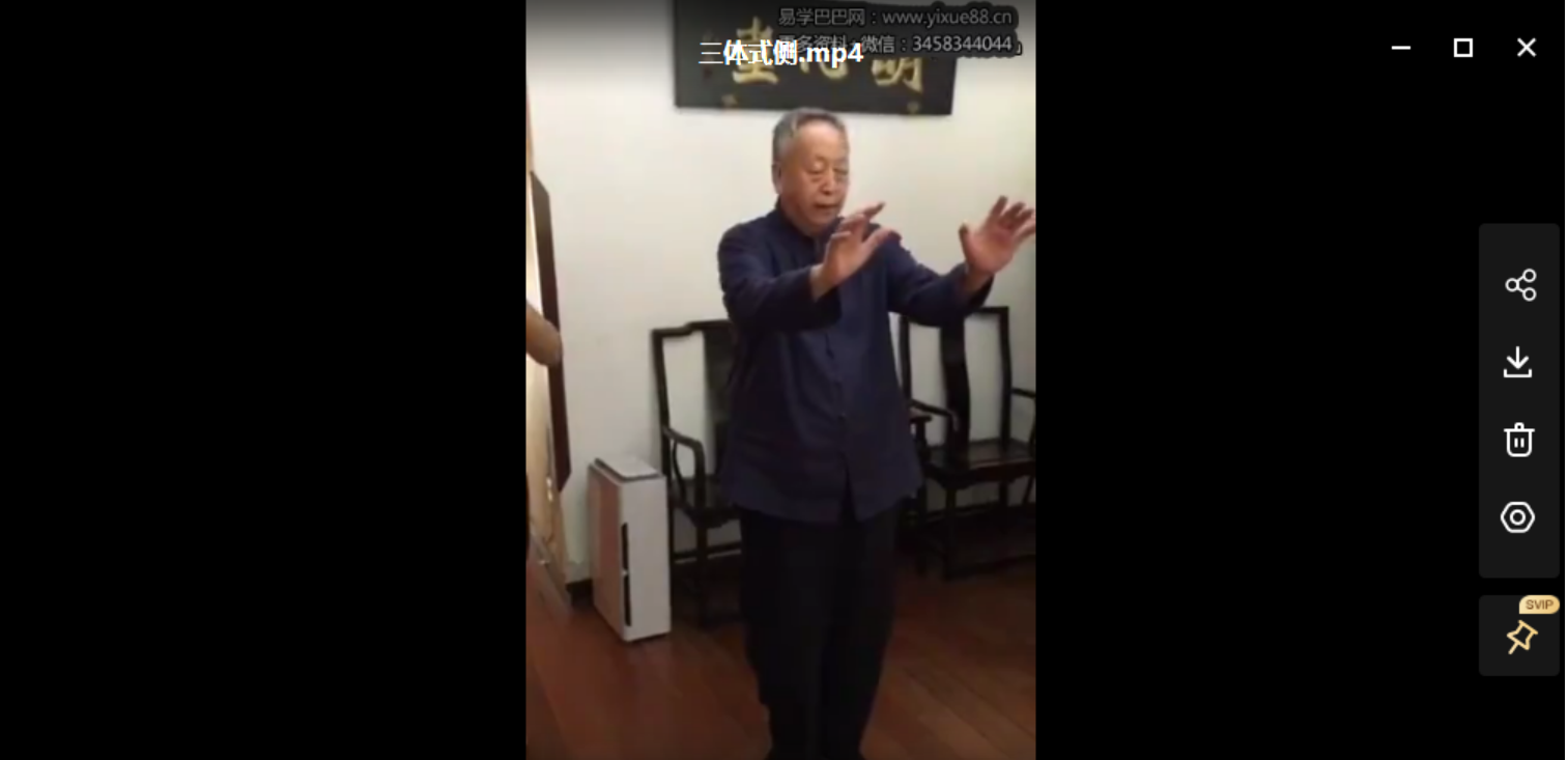 马世琦2016桩功课程合集 含桩功讲课+分动作演示