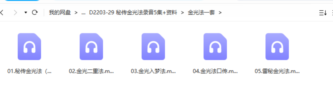 秘传金光法录音5集+资料 夸克网盘下载
