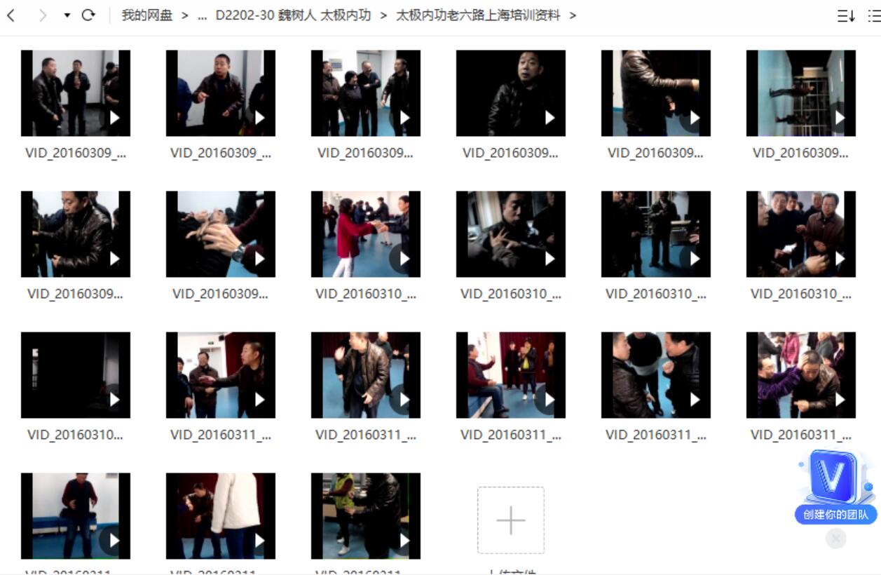 魏树人 太极内功