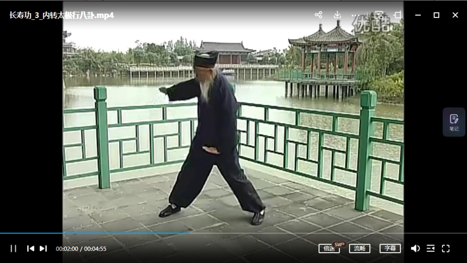 张至顺长寿八部金刚功视频