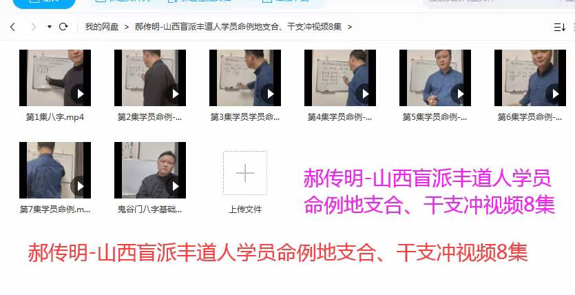 郝传明-山西盲派丰道人学员命例地支合、干支冲视频8集