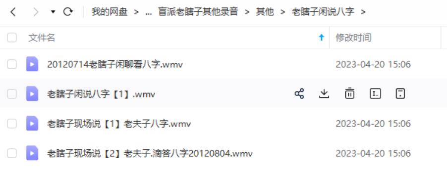 盲派农村老瞎子八字讲座视频19集15个多小时 夸克网盘下载
