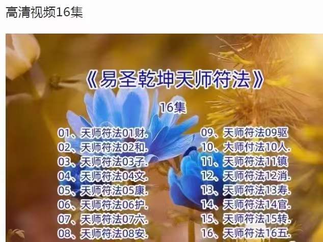 《易圣乾坤天师符法》16集