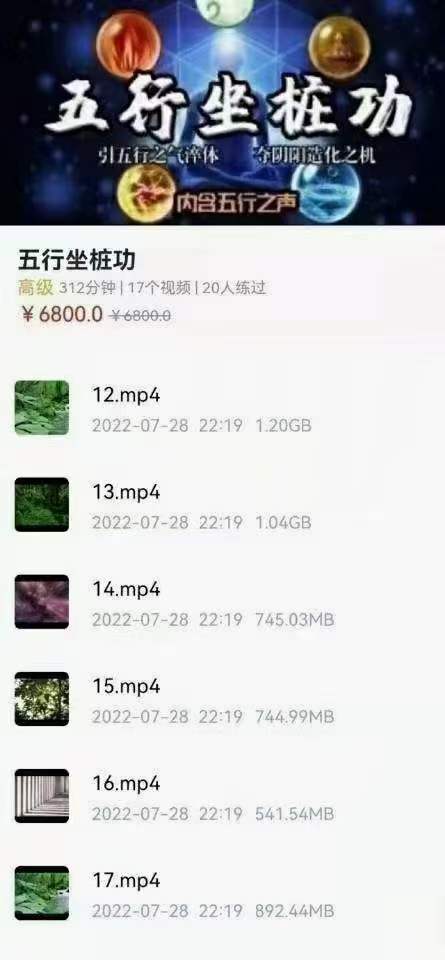 姜书洋 五行坐桩功