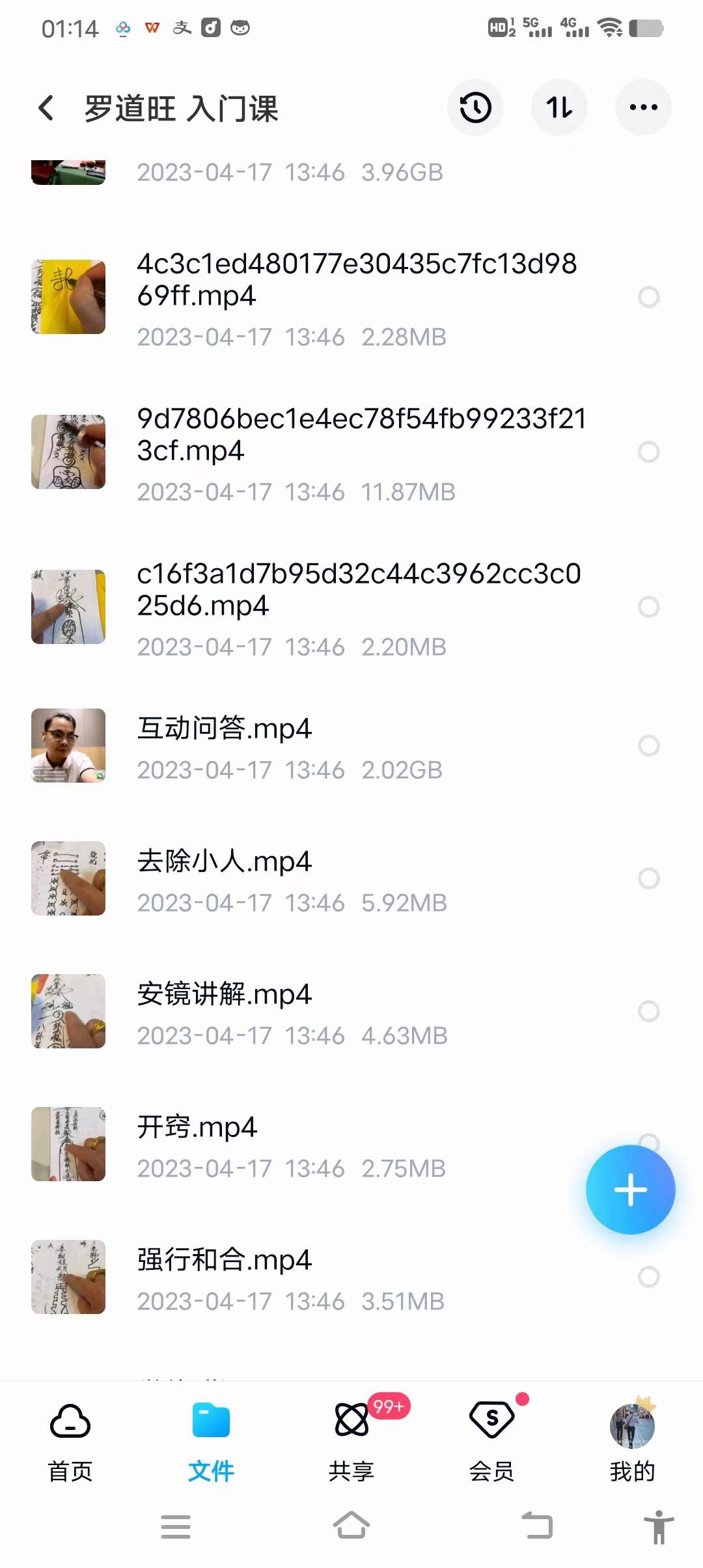 罗道旺 入门课 移动网盘下载