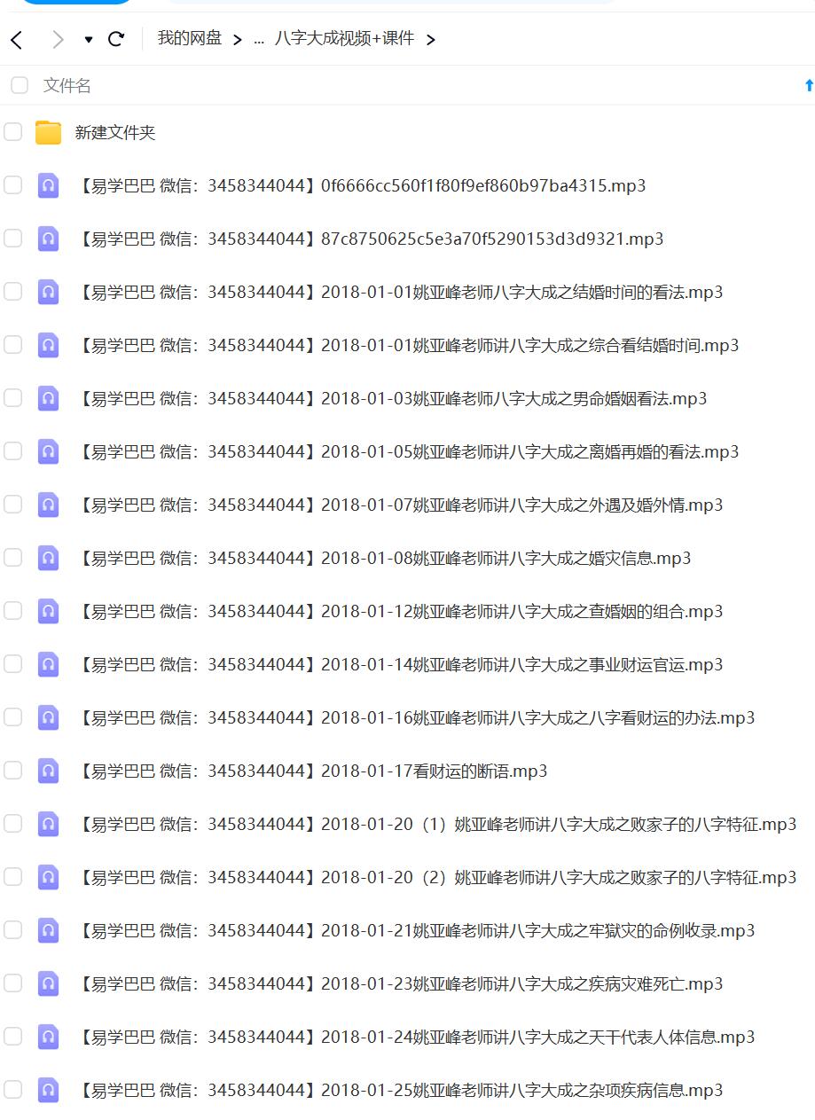 姚亚峰20182019八字大成培训课程录音 移动网盘下载