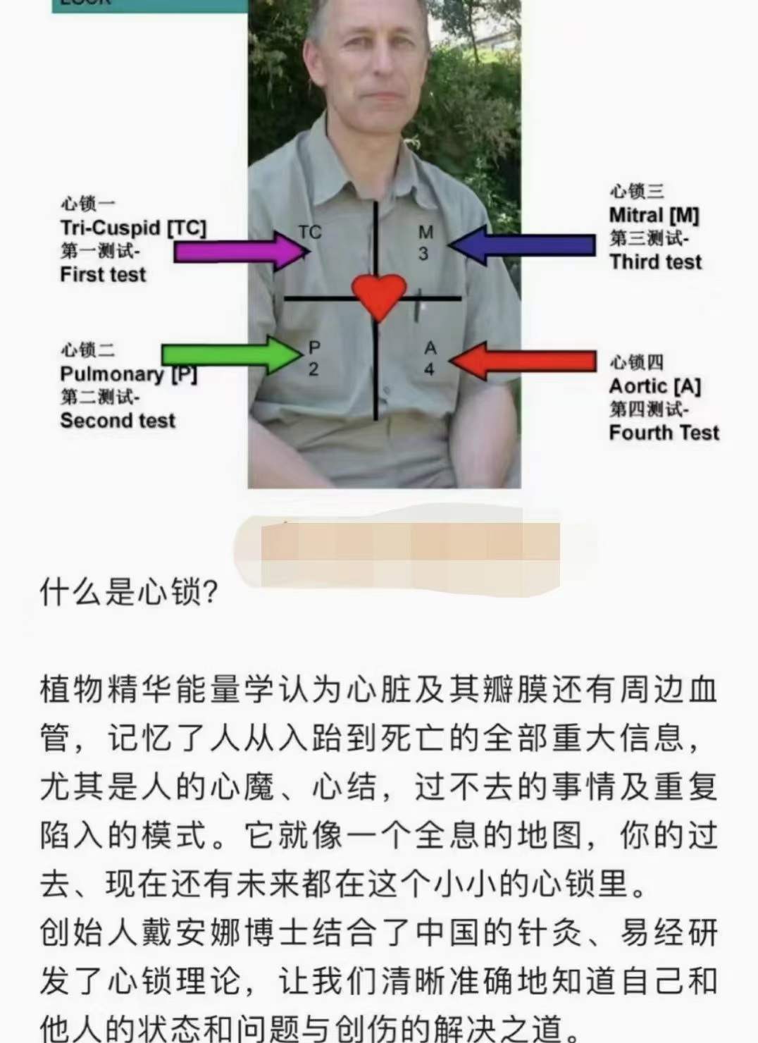 2022年8月植物精华能量学初级工作坊 10集