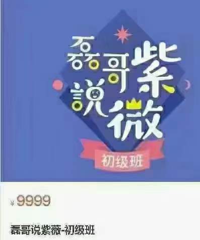 磊哥漫画说紫薇 26集