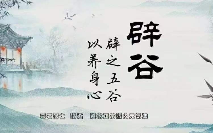 杨光 道家正宗服气辟谷术14集