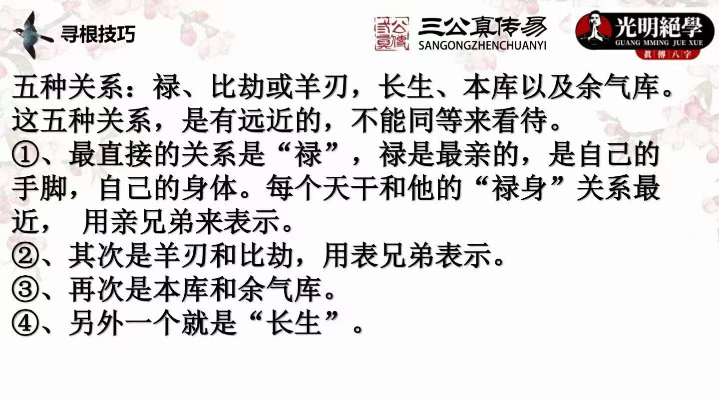 夏光明弟子 德灵老师 干支寻根解密视频+文档