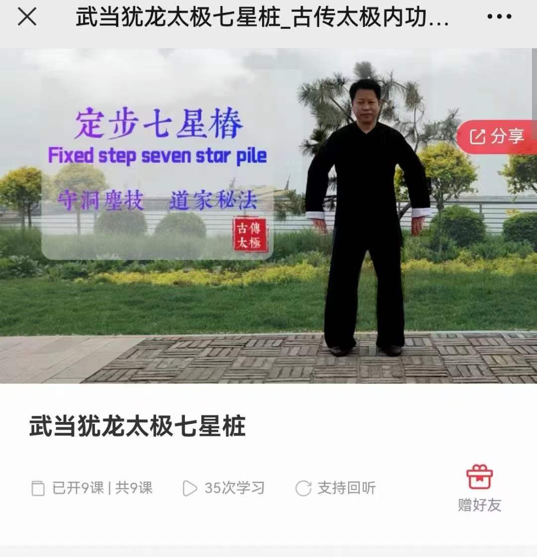 武当犹龙太极七星桩9集