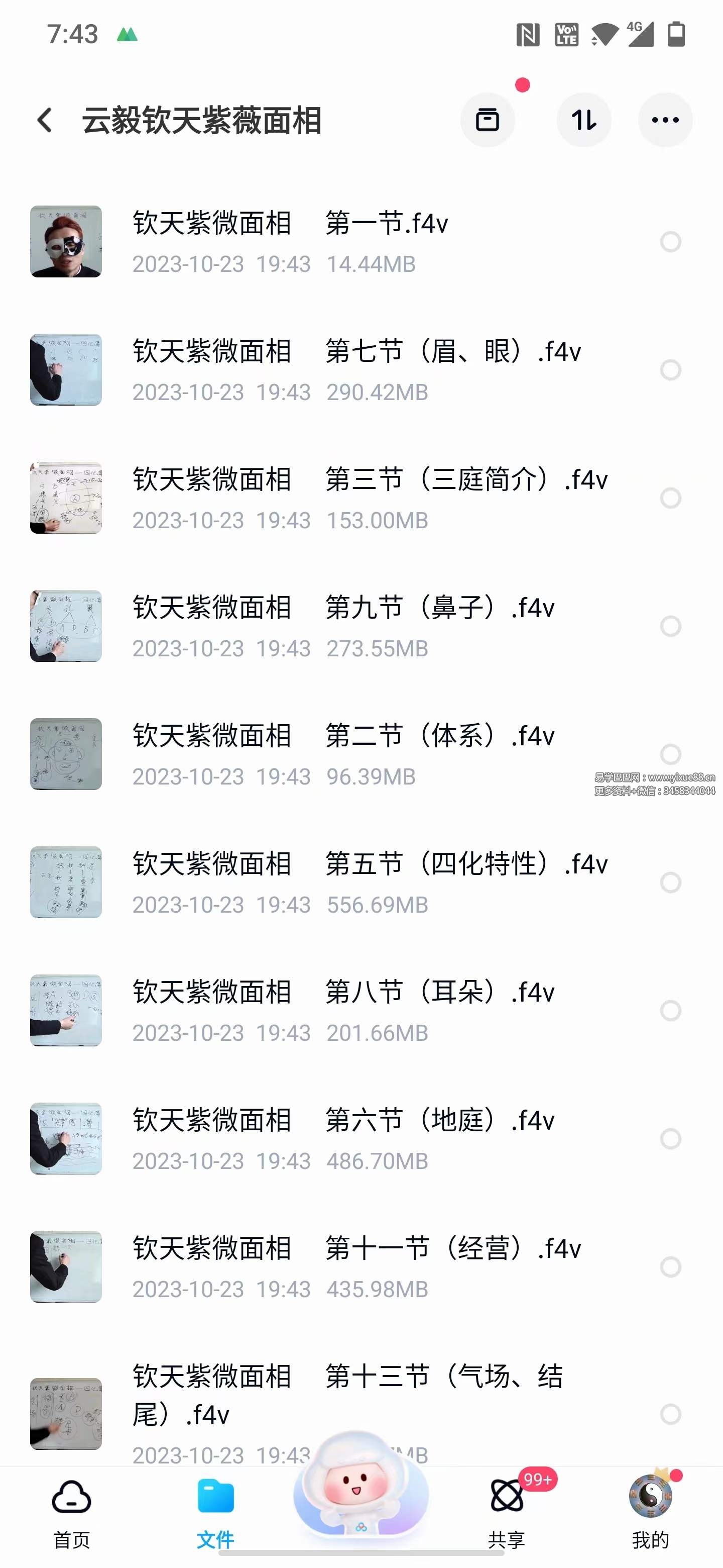 云毅钦天紫薇面相13集