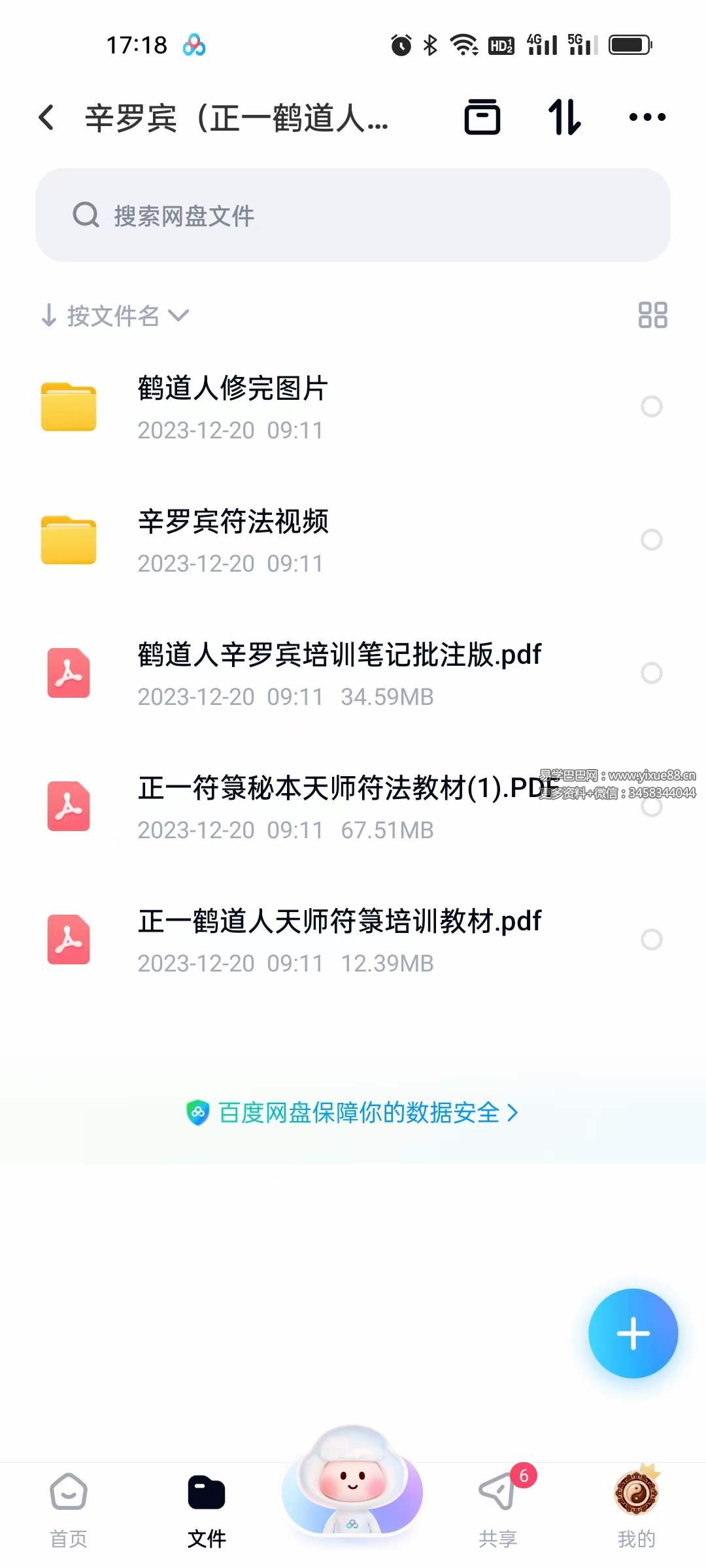 辛罗宾（正一鹤道人）符法 视频+文档