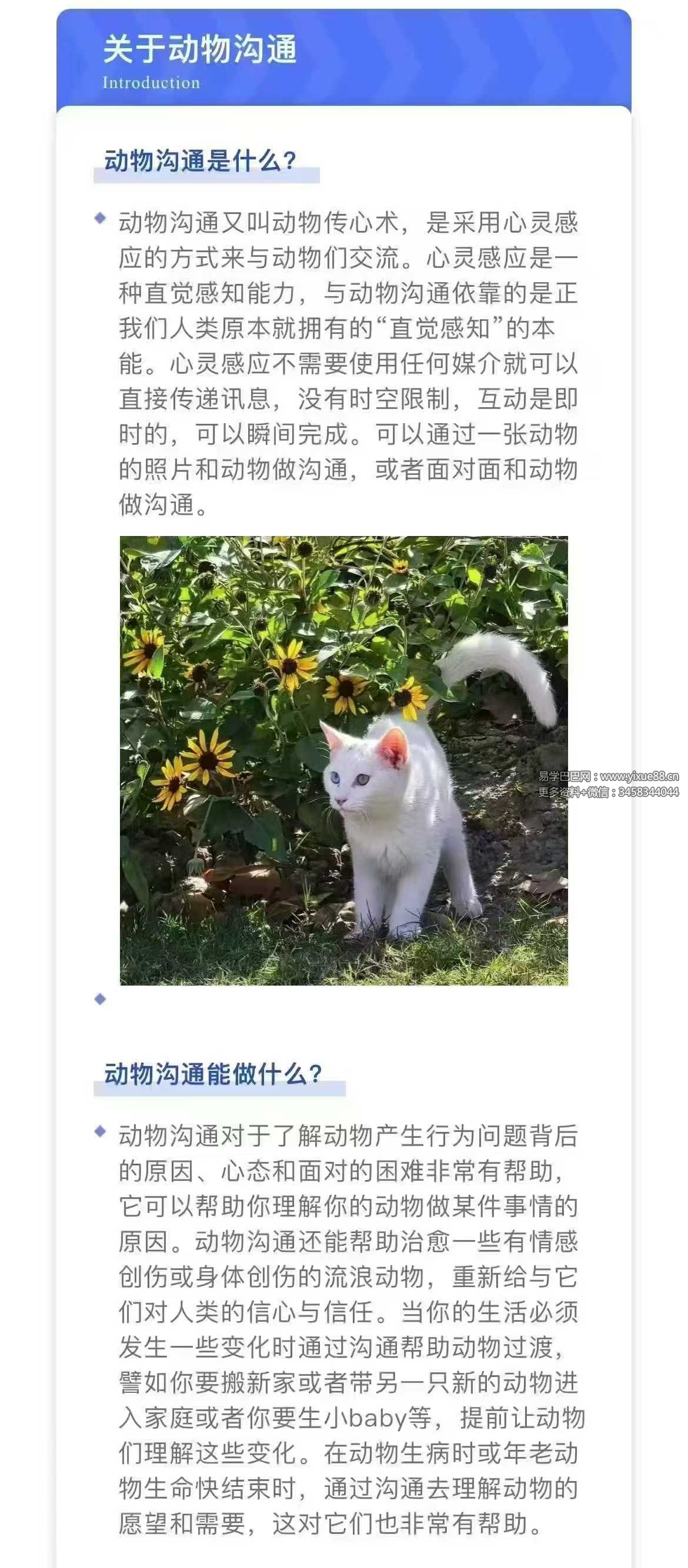 梵拉之海 动物沟通13节音频