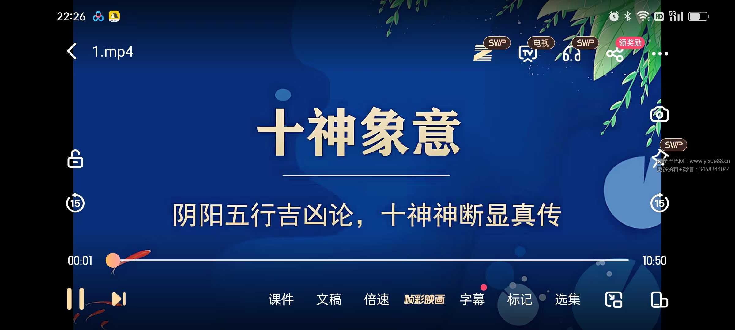 夏光明弟子 德芸《十神象义详解》6集视频约1.5小时