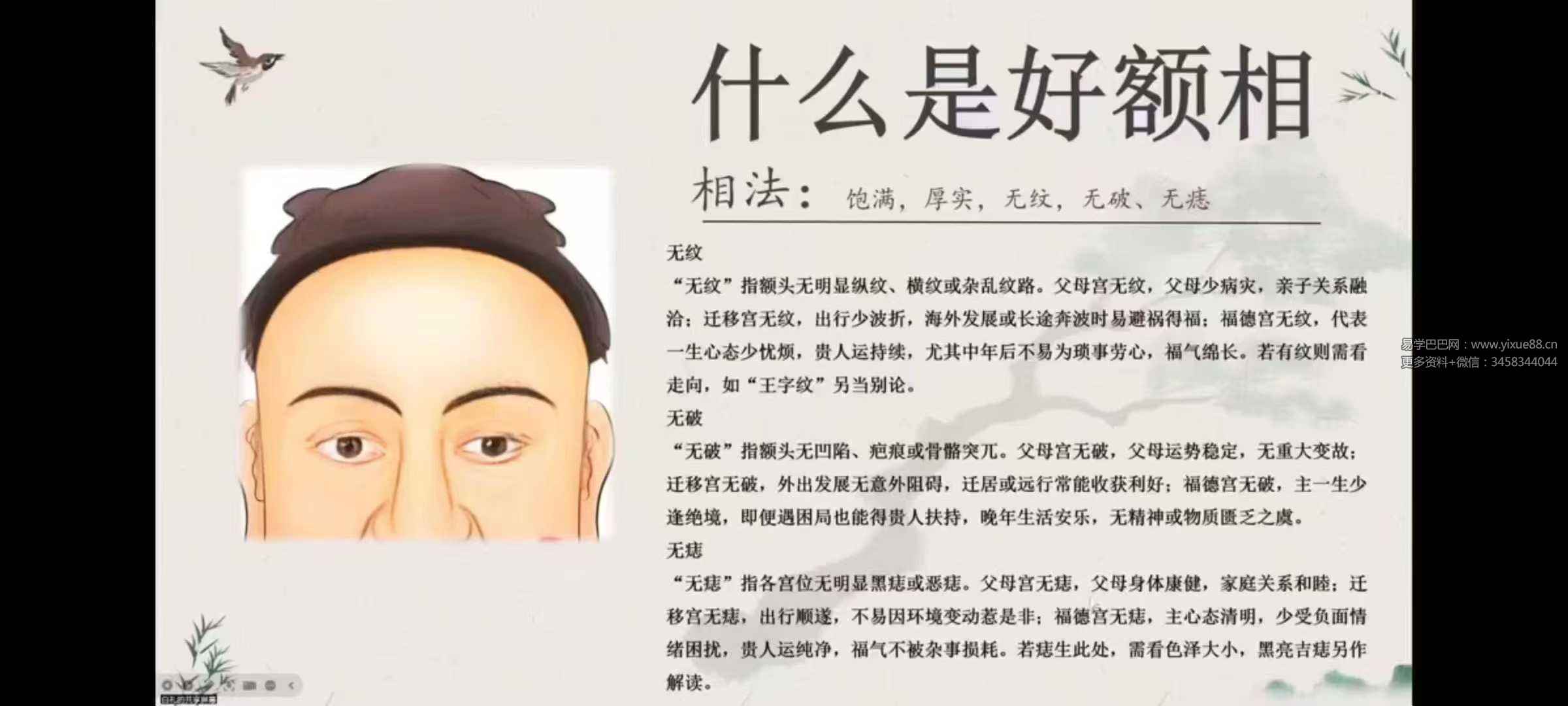 白礼老师《说相-国学面相视频直播课》10集视频