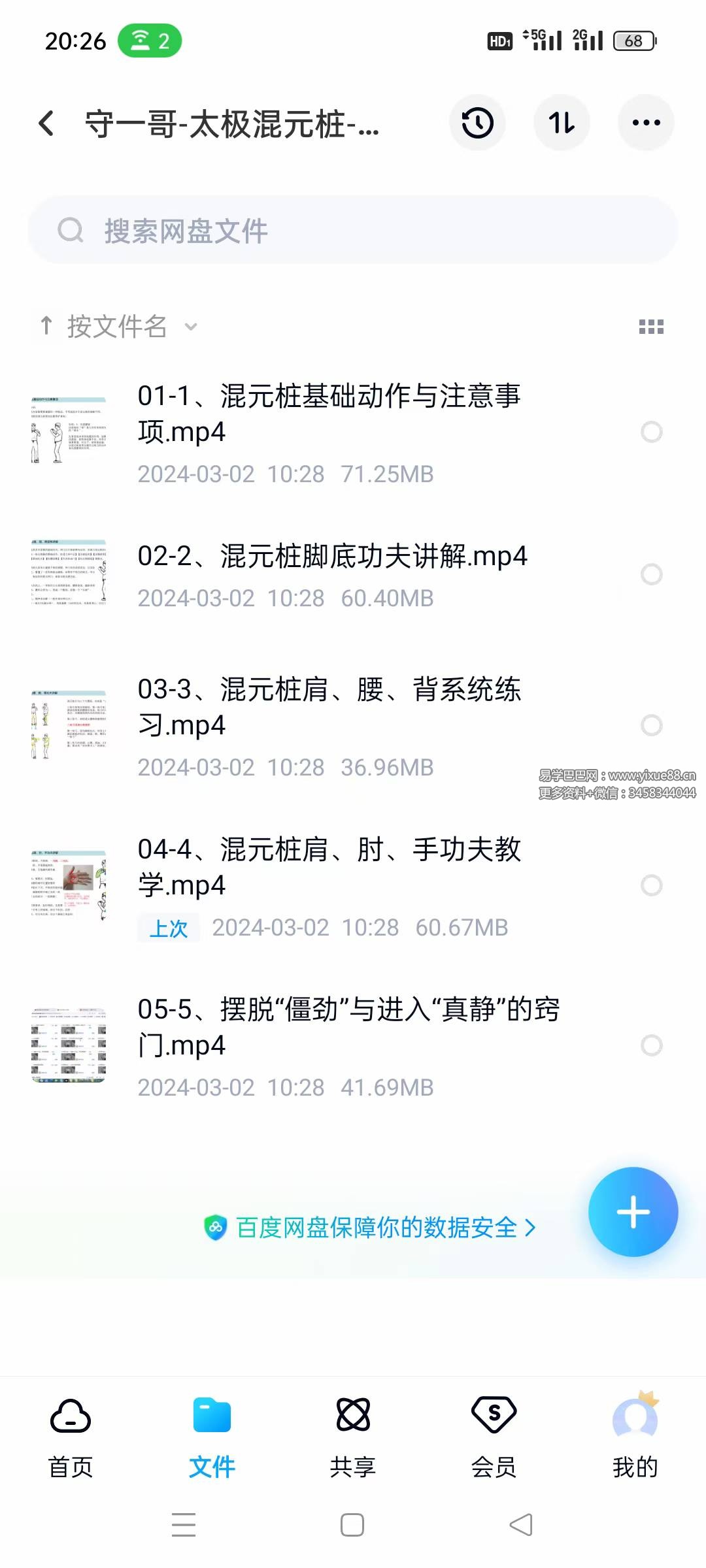 守一哥 太极混元桩 内劲教学5集