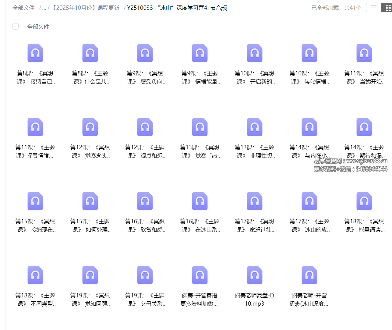 “冰山”深度学习营41节音频