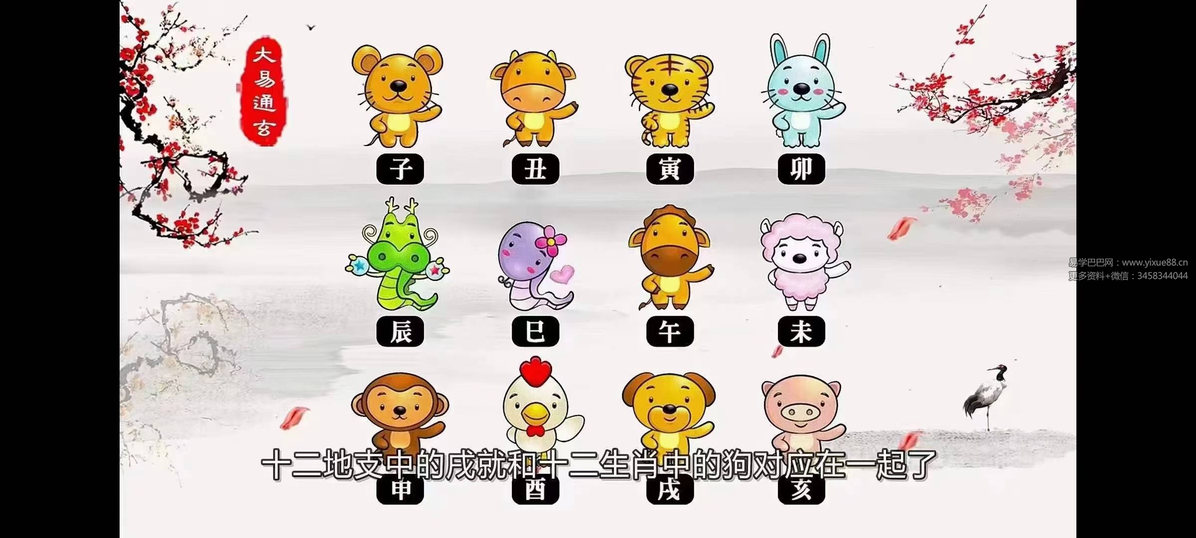 张同全《易解十二生肖之谜》15集