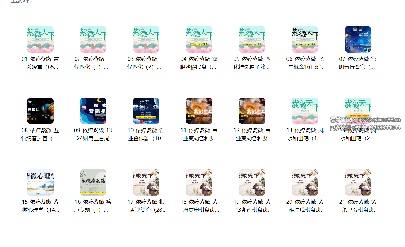 2024年 依婷《紫微斗数》初中高课件合集