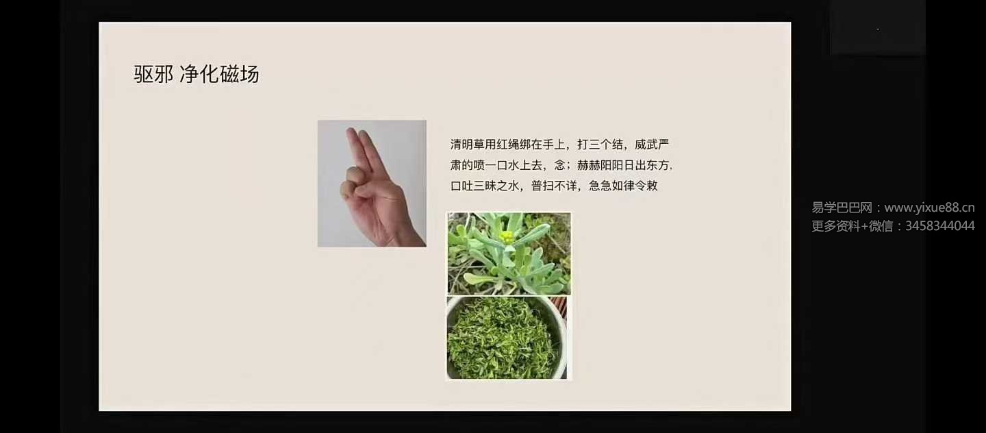 龙龙灵性防护11集视频