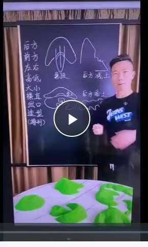 许联斌8种树（核心葬法工力）视频1集+课件